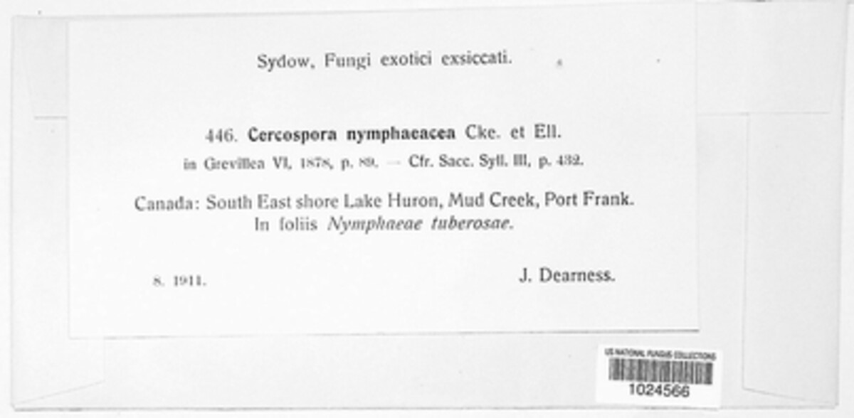 Pseudocercospora nymphaeacea image